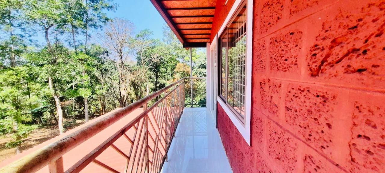 Shrenya Orchidz-Coorg Nature Stay Madikeri Bagian luar foto