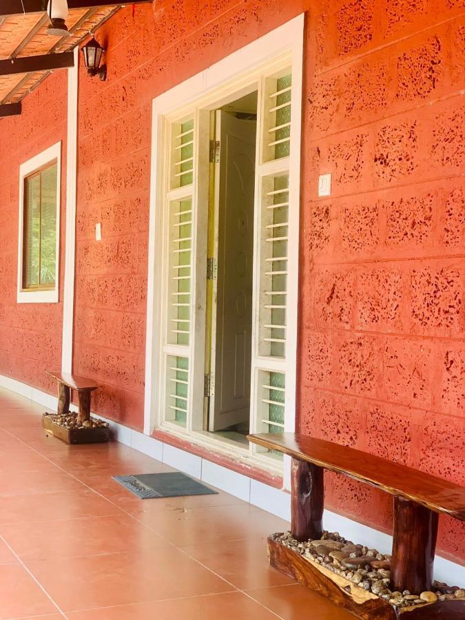 Shrenya Orchidz-Coorg Nature Stay Madikeri Bagian luar foto