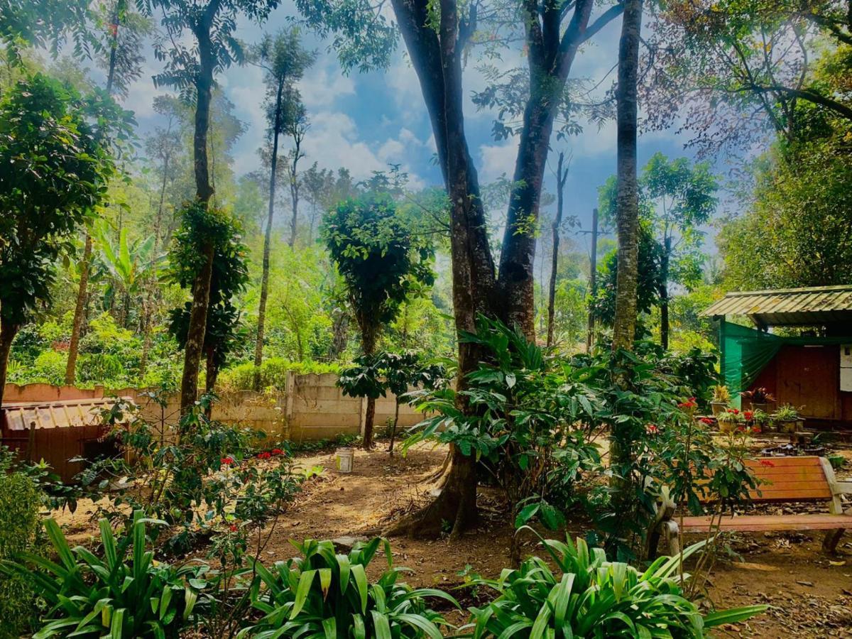 Shrenya Orchidz-Coorg Nature Stay Madikeri Bagian luar foto