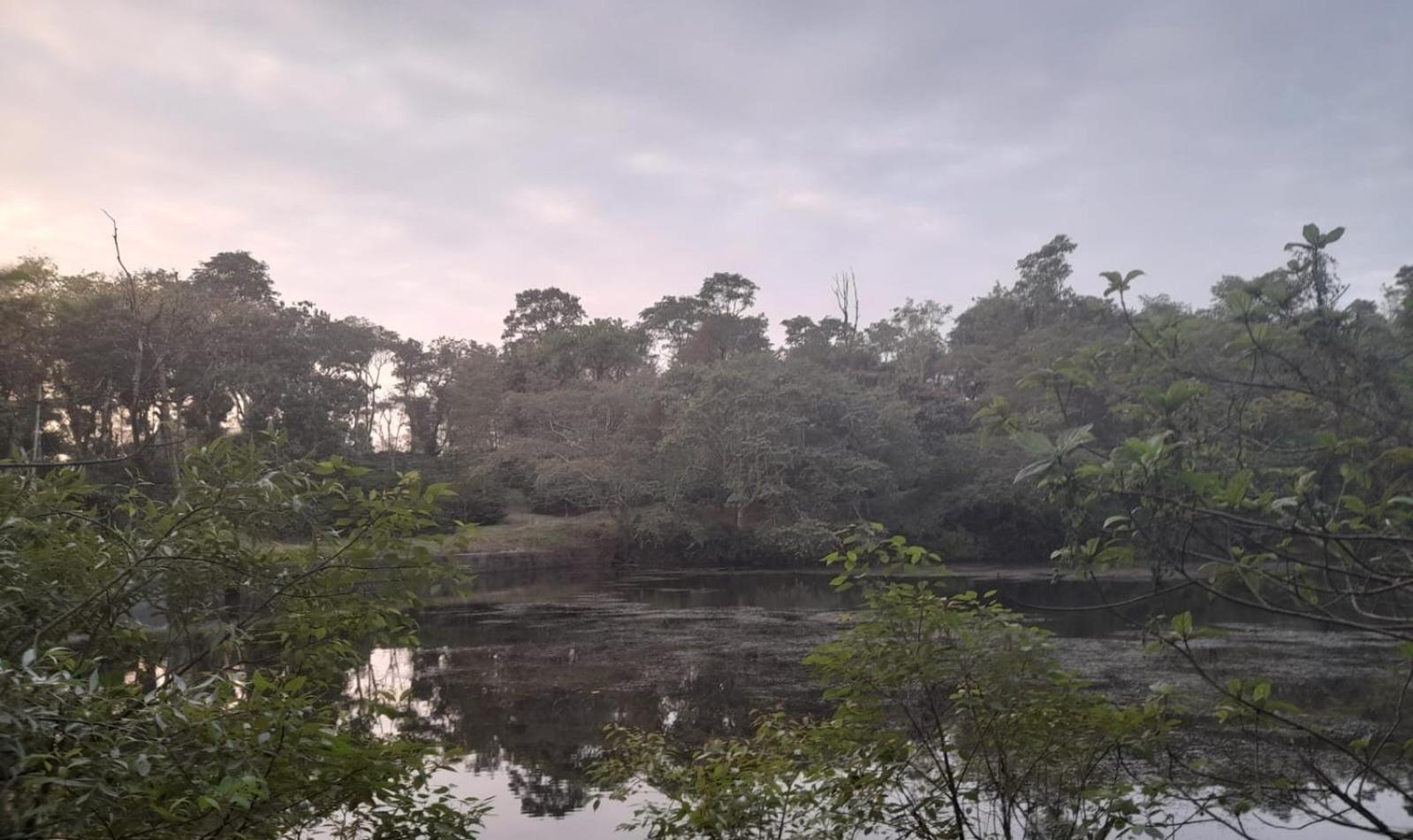 Shrenya Orchidz-Coorg Nature Stay Madikeri Bagian luar foto