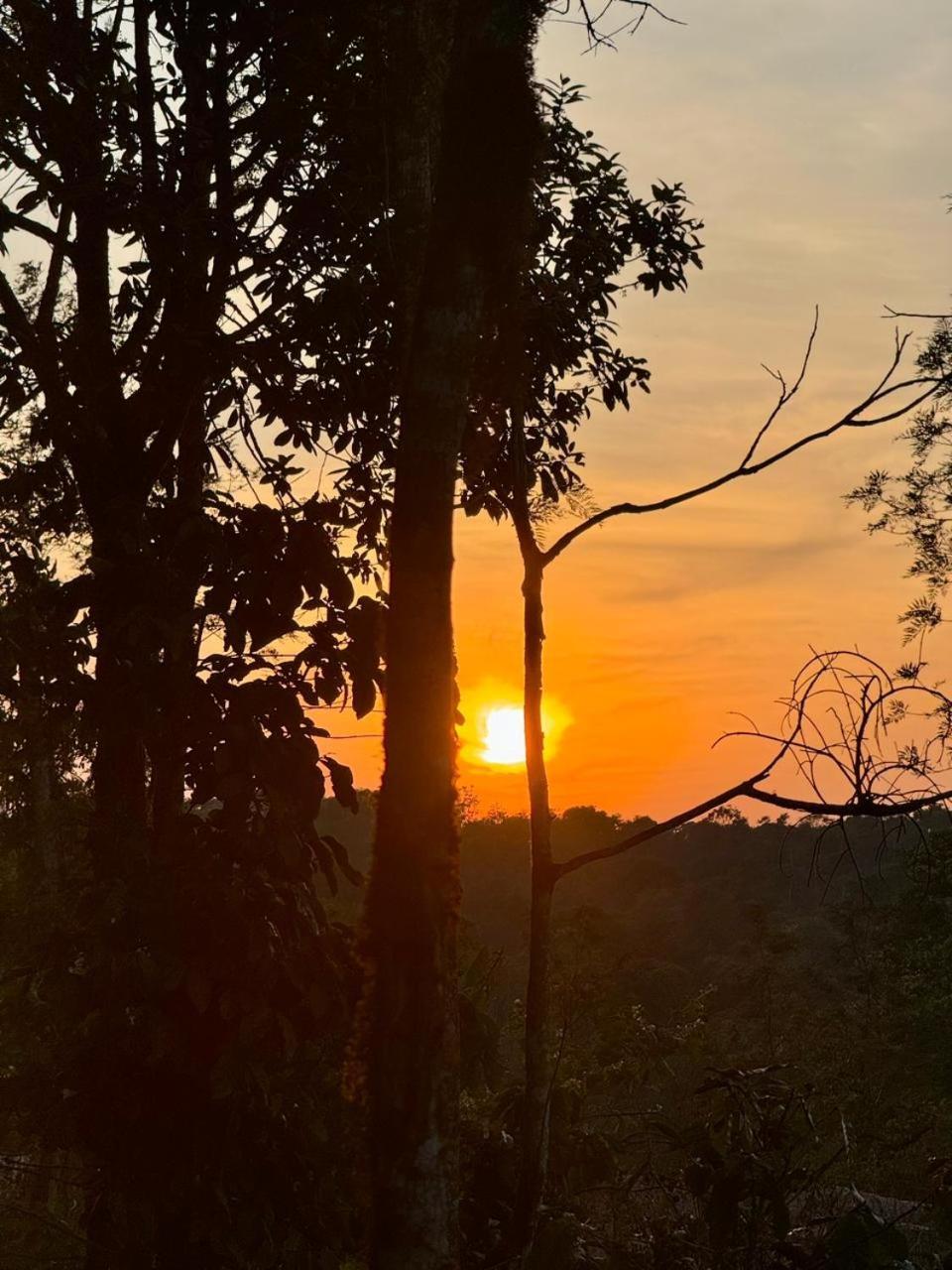 Shrenya Orchidz-Coorg Nature Stay Madikeri Bagian luar foto