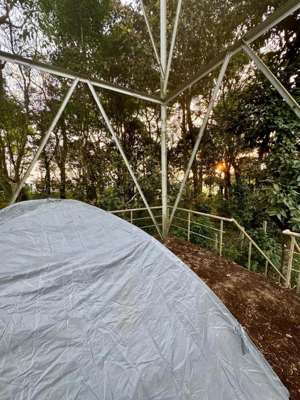 Shrenya Orchidz-Coorg Nature Stay Madikeri Bagian luar foto