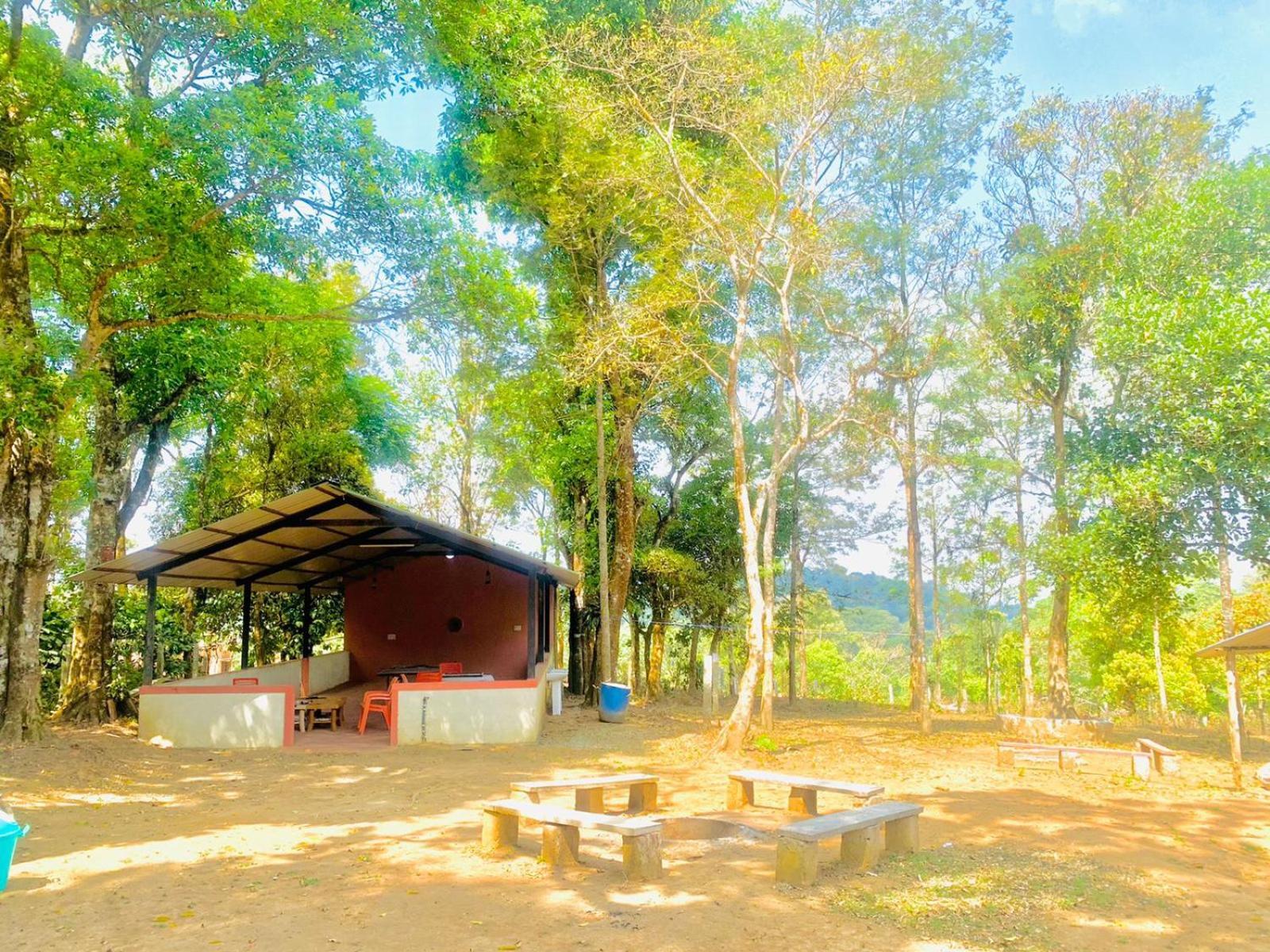 Shrenya Orchidz-Coorg Nature Stay Madikeri Bagian luar foto